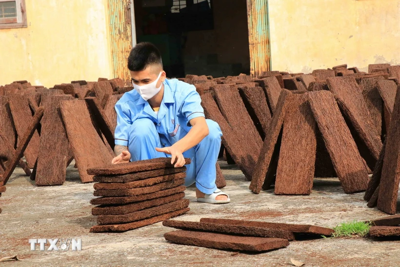 Học viên tại Cơ sở cai nghiện ma túy Bắc Ninh. (Ảnh: Thái Hùng/TTXVN)