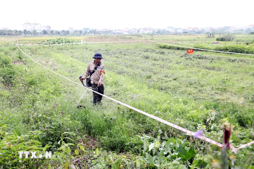 Thực hiện thu hồi đất để triển khai xây dựng điểm dân cư mới. (Ảnh: Mạnh Tú/TTXVN)