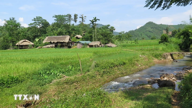 Khu đất được chính quyền địa phương chọn để tái định cư cho người dân thôn Làng Nủ, xã Phúc Khánh, huyện Bảo Yên, tỉnh Lào Cai. (Ảnh: Hồng Ninh/TTXVN)