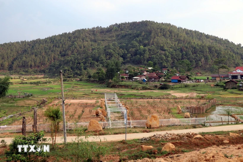  Bộ Tài nguyên và Môi trường phấn đấu nâng cao chỉ số tiếp cận đất đai. (Ảnh: Cao Nguyên/TTXVN)