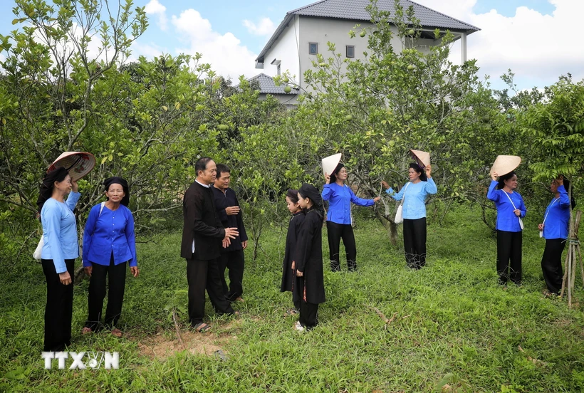 Nghệ nhân Ưu tú Lâm Minh Sập cùng các thành viên câu lạc bộ dân ca Sán Chí luyện tập. (Ảnh: Danh Lam/TTXVN)
