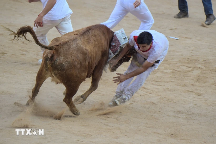 Đấu sỹ tại lễ hội đua bò tót nổi tiếng San Fermín ở trường đấu thành phố Pamplona, Tây Ban Nha ngày 7/7/2022. Ảnh: AFP/TTXVN