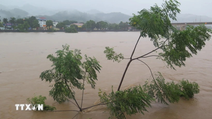 Mực nước trên sông Hồng, đoạn qua thành phố Lào Cai lên tới 83,91m, cao trên báo động 3 là 0,41m. (Ảnh: Hương Thu/TTXVN)