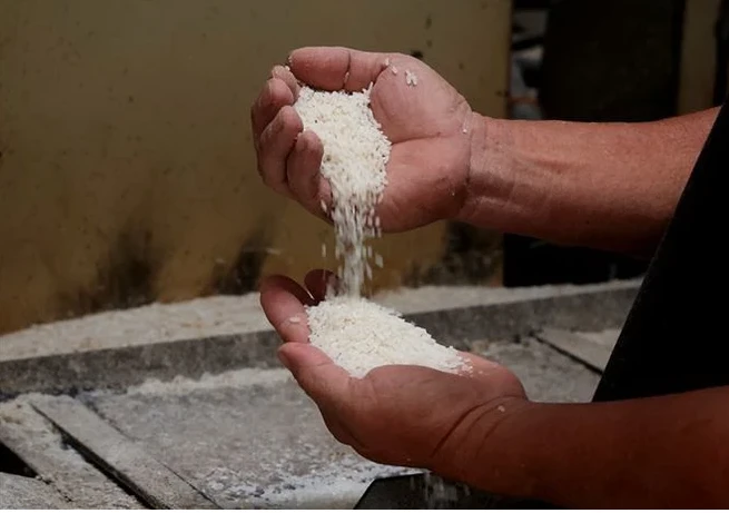 Nhu cầu cao khiến giá gạo Ấn Độ tăng lên mức kỷ lục mới