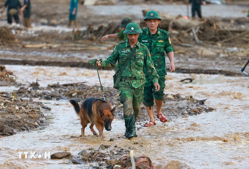 Lực lượng quân đội triển khai tìm kiếm các nạn nhân mất tích do sạt lở đất tại làng Nủ, xã Phúc Khánh, huyện Bảo Yên. (Ảnh: Dương Giang/TTXVN)