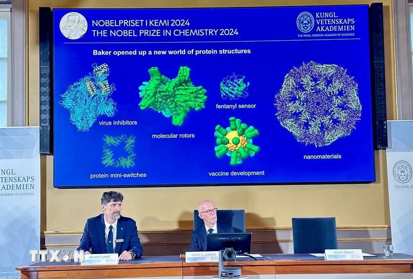 Lễ công bố giải Nobel Hóa học năm 2024 tại Viện Hàn lâm Khoa học Hoàng gia Thụy Điển ở Stockholm, ngày 9/10/2024. (Ảnh: AA/TTXVN)