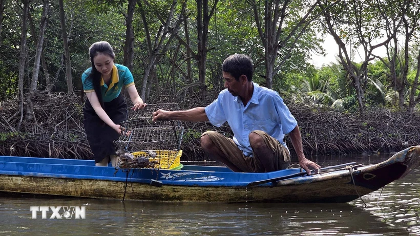 Khách du lịch trải nghiệm đặt lú bắt cua dưới vuông tôm tại điểm du lịch cộng đồng của ông Trần Văn Hướng (ấp Cồn Mũi, xã Đất Mũi, huyện Ngọc Hiển, Cà Mau). (Ảnh: Kim Há /TTXVN)