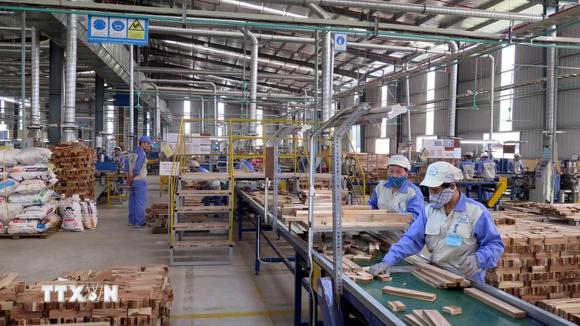 Công nhân làm việc tại dây chuyền chế biến gỗ công nghiệp thuộc Công ty cổ phần Woodsland Tuyên Quang. (Ảnh: Vũ Quang/TTXVN)