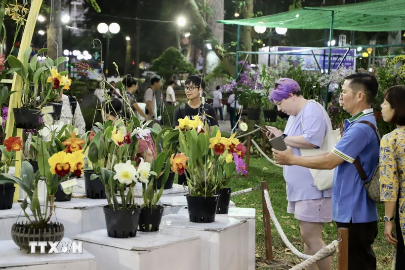 Người dân chiêm ngưỡng bộ sưu tập hoa lan nghệ thuật tại Hội Hoa Xuân. (Ảnh: Hồng Giang/TTXVN)