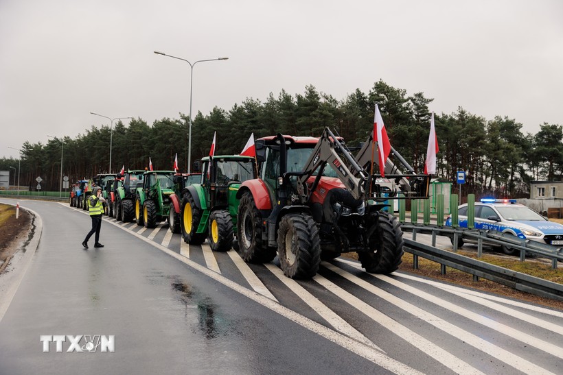 Ukraine hối thúc Ba Lan trừng phạt những người đổ ngũ cốc gần biên giới