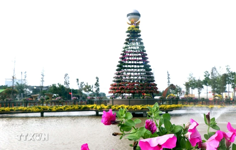 Những bông hoa đủ sắc màu được người dân trang trí chuẩn bị cho Lễ hội làng hoa Xuân Quan (Văn Giang, Hưng Yên). (Ảnh: Đinh Văn Nhiều/TTXVN)