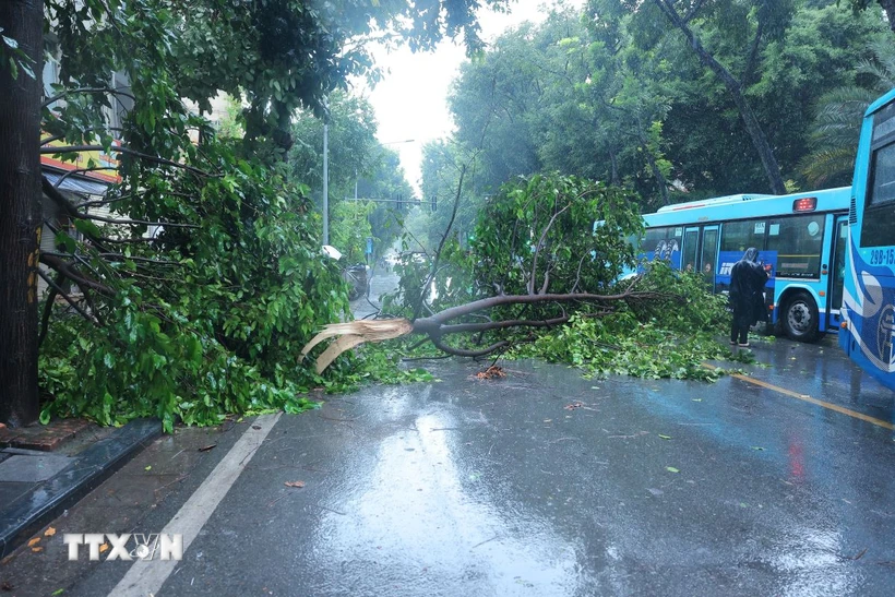 Các phương tiện di chuyển chậm qua đoạn đường trước nhà 25 Quang Trung. (Ảnh: Hoàng Hiếu/TTXVN)