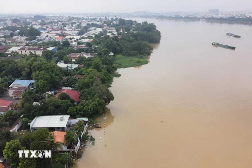 Mực nước trên sông Đồng Nai lúc 15 giờ 30 ngày 18/9/2024 tại khu vực thành phố Biên Hòa lên trên mức báo động 1. (Ảnh: Sỹ Tuyên/TTXVN)