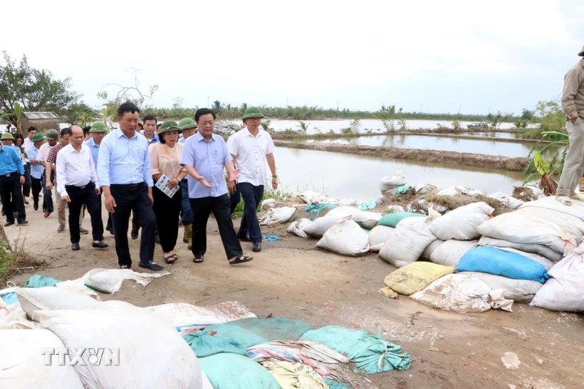 Bộ trưởng Lê Minh Hoan kiểm tra công tác đảm bảo an toàn đê điều, khắc phục hậu quả, khôi phục sản xuất nông nghiệp tại huyện Thanh Hà. (Ảnh: Mạnh Tú/TTXVN)