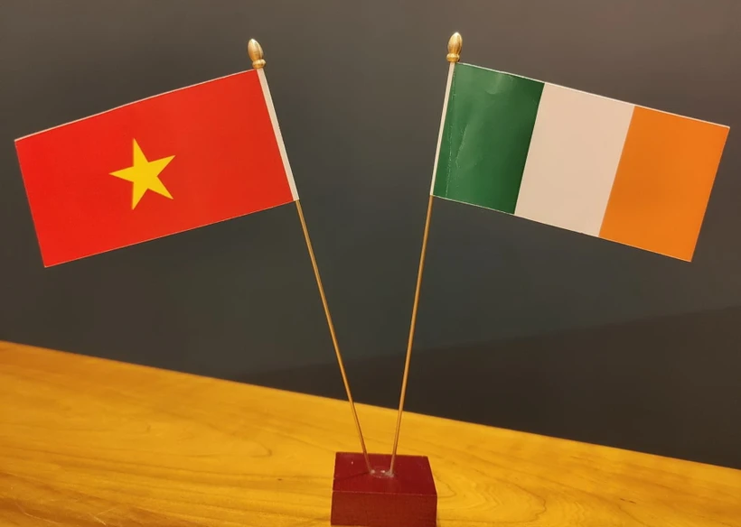 Thúc đẩy tiềm năng hợp tác Việt Nam-Ireland trong các lĩnh vực giáo dục, KHCN