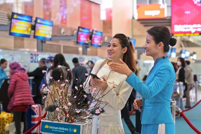 Vietnam Airlines vận chuyển cành đào, cành mai dịp Tết Nguyên đán Giáp Thìn 2024. (Ảnh: PV/Vietnam+)