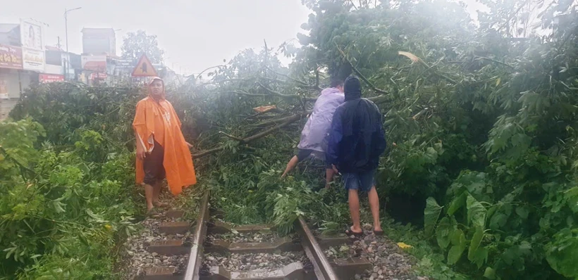 Cán bộ, công nhân viên ngành đường sắt khắc phục vị trí cây đổ vào đường ray để thông tàu chạy nhanh nhất. (Ảnh: PV/Vietnam+)