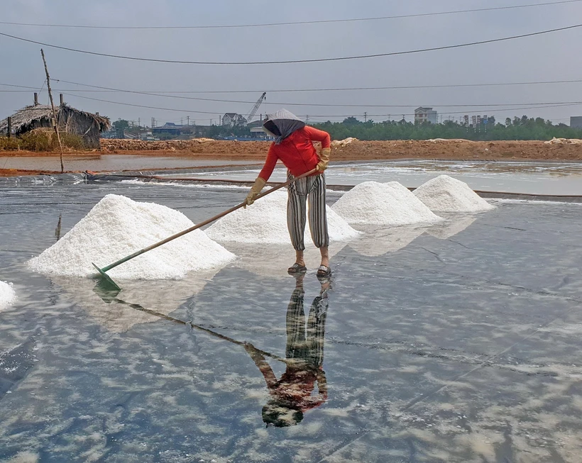 Diêm dân ở làng nghề làm muối Tân Thuận vào mùa thu hoạch muối và thời gian này kéo dài khoảng 3 tháng. (Ảnh: Huỳnh Anh/TTXVN)