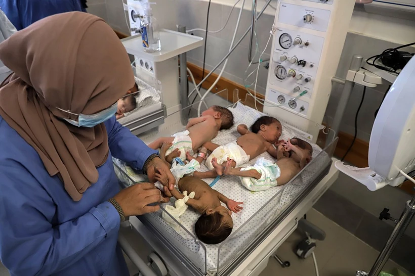 Nhân viên y tế chăm sóc các em bé sinh non được sơ tán từ bệnh viện Al Shifa tới bệnh viện ở Rafah, Dải Gaza, ngày 19/11/2023. (Ảnh: THX/TTXVN)
