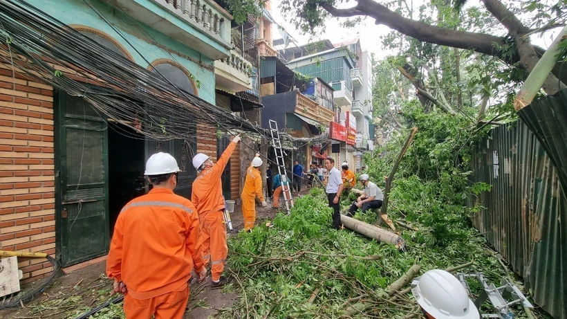 Cây trên phố Vũ Hữu (quận Thanh Xuân, Hà Nội) bị đổ làm gãy cột điện. (Ảnh: Linh Khánh-TTXVN)
