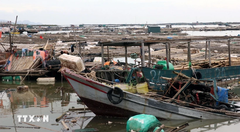 Tàu, lồng bè nuôi của người dân xã Tân An, thị xã Quảng Yên, bị hư hỏng nặng. (Ảnh: Văn Đức/TTXVN)