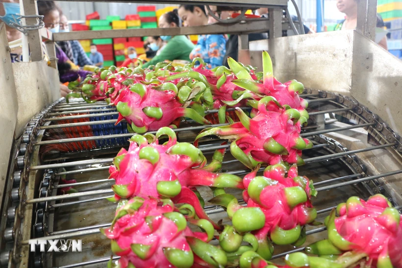 Giảm chi phí logistics: Động lực đưa nông sản Việt Nam vươn xa ra thế giới