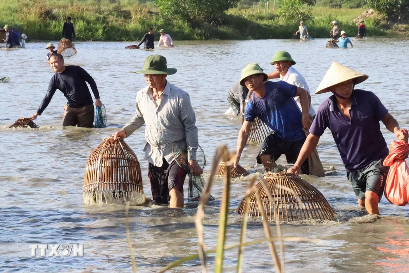 Lễ hội đánh cá Đồng Hoa được tổ chức mỗi năm một lần sau vụ thu hoạch lúa, mang đậm màu sắc dân gian độc đáo, với ý nghĩa khuyến nông, khuyến ngư, phát triển nông nghiệp, nông thôn. (Ảnh: Hoàng Ngà/TTXVN)