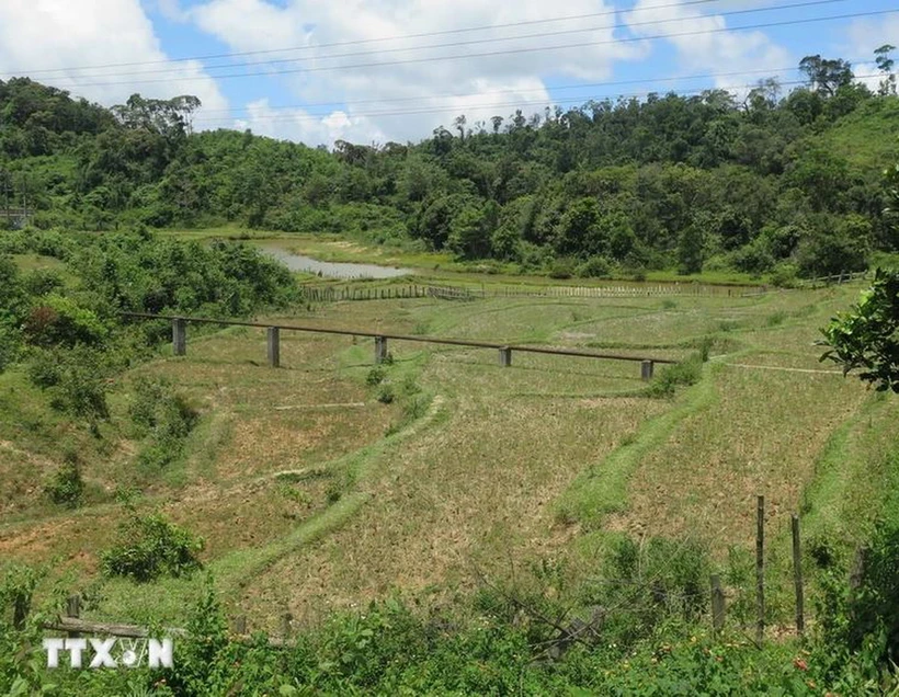 Một khu vực thuộc địa phận huyện Kon Plông, tỉnh Kon Tum. (Ảnh minh họa: Dư Toán/TTXVN)