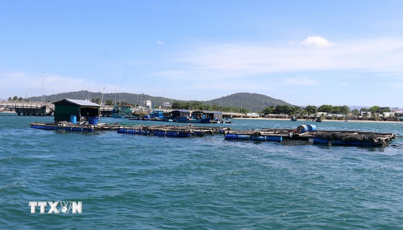 Nuôi cá lồng bè trên vùng biển Phú Quốc (Kiên Giang). (Ảnh: Lê Huy Hải/TTXVN)