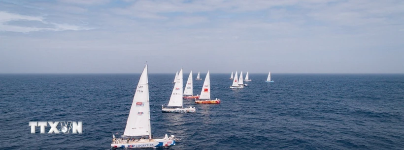 Những đội thuyền buồm đầu tiên dự Giải Clipper Race cập Cảng tàu khách quốc tế Hạ Long tháng 2/2024. (Ảnh: TTXVN phát)