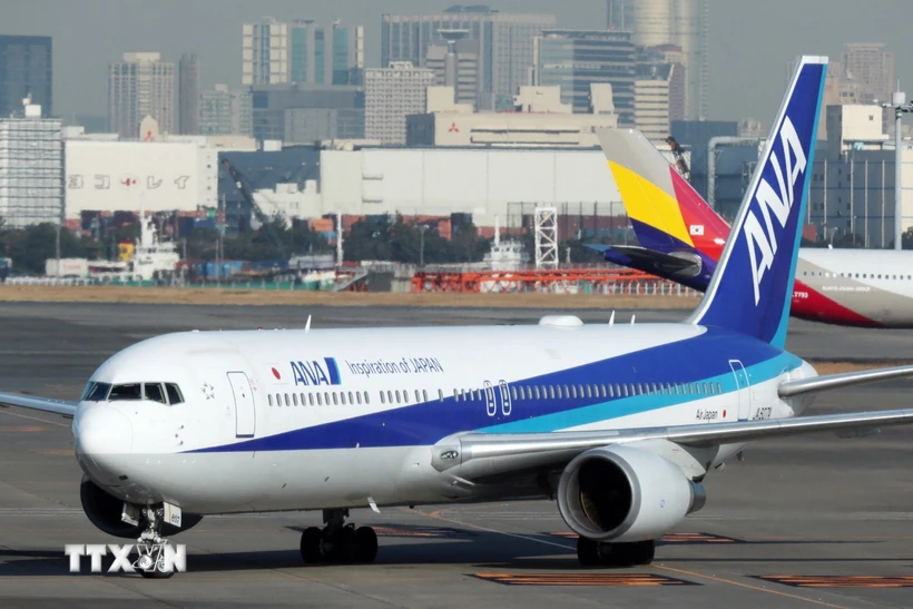 Một máy bay của Hãng hàng không Nhật Bản All Nippon Airways. (Ảnh: AFP/TTXVN) 