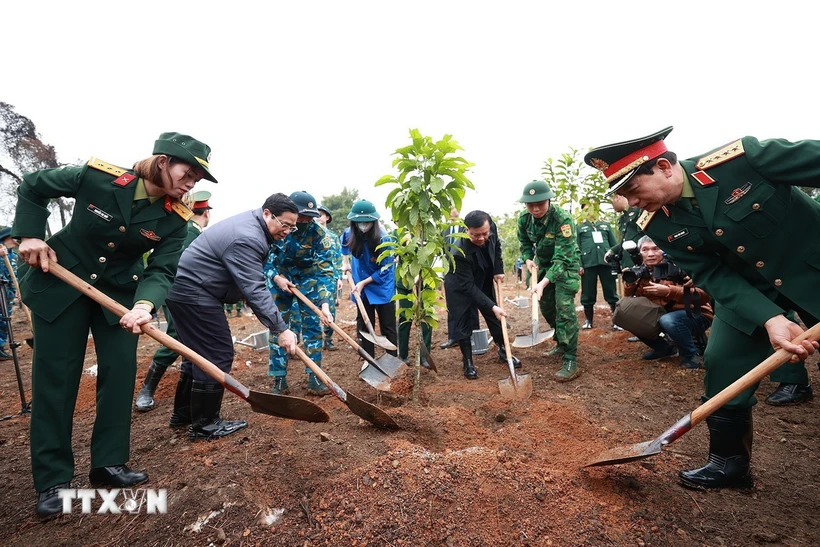 Thủ tướng Phạm Minh Chính trồng cây tại Lễ phát động “Tết trồng cây Đời đời nhớ ơn Bác Hồ.” (Ảnh: Dương Giang/TTXVN)