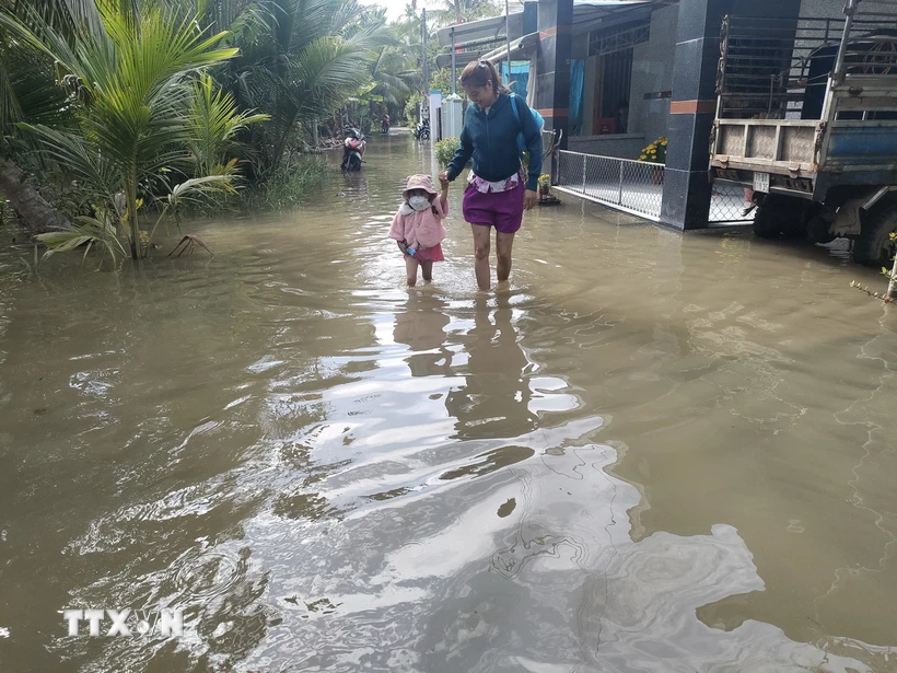 Triều cường gây ngập nước ảnh hưởng đến đời sống người dân. (Ảnh: Huỳnh Phúc Hậu/TTXVN)