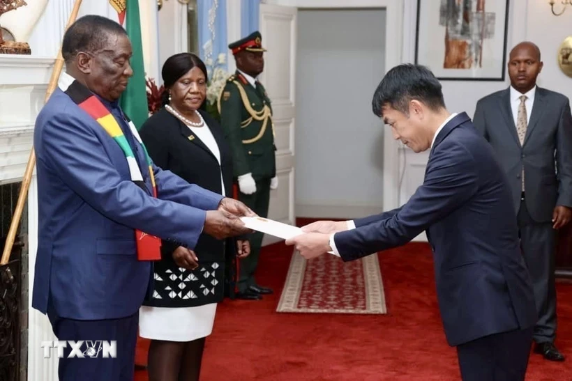 Đại sứ Hoàng Sỹ Cường trình Thư ủy nhiệm của Chủ tịch nước lên Tổng thống Zimbabwe Emmerson Mnangagwa. (Ảnh: TTXVN phát)