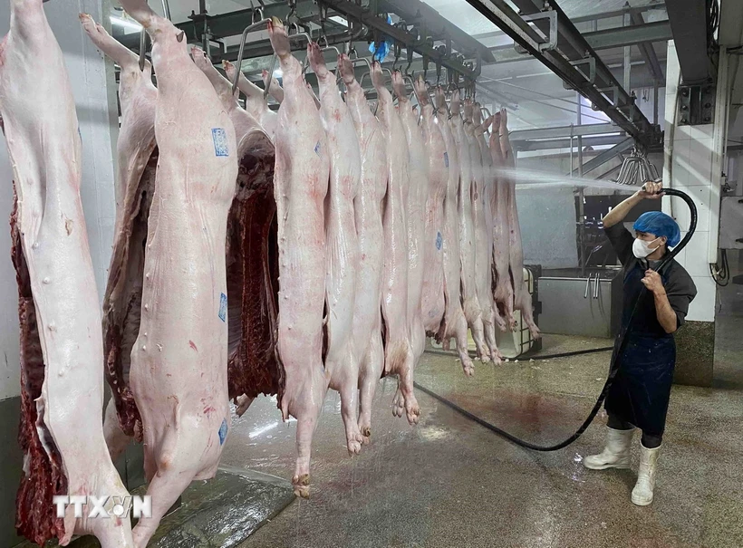 Làm sạch thịt lợn trước khi đưa vào chế biến tại nhà máy của Công ty Cổ phần Công nghệ thực phẩm Vinh Anh (huyện Thường Tín, Hà Nội). (Ảnh: Vũ Sinh/TTXVN)