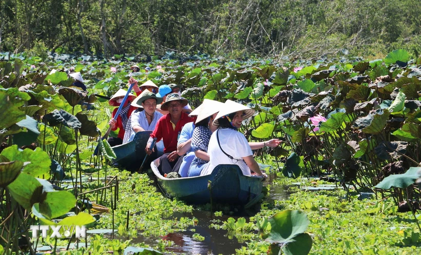 Khu du lịch rừng tràm Trà Sư (thị xã Tịnh Biên, An Giang) thu hút đông du khách đến tham quan, trải nghiệm. (Ảnh: Công Mạo/TTXVN)