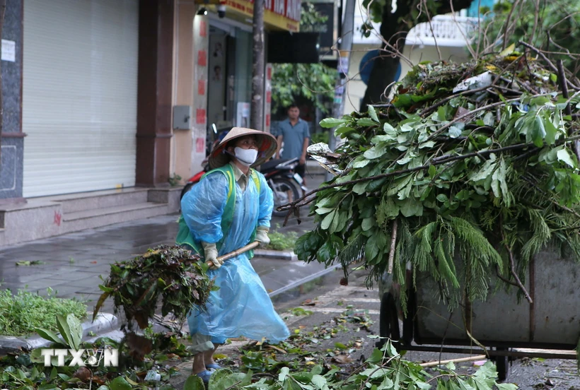 Công nhân Công ty cổ phần môi trường Nam Định dọn dẹp cây cối bị đổ tại chân cầu Đò Quan, thành phố Nam Định. (Ảnh: Công Luật/TTXVN)