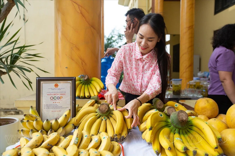 Sản phẩm chuối Vân Nam của Hợp tác xã Vân Nam đạt tiêu chuẩn 4 sao OCOP. (Nguồn: Báo ảnh Việt Nam)