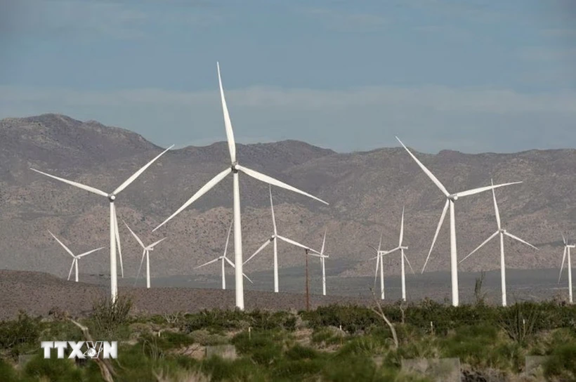 Các tuabin sản sinh điện gió hoạt động tại California, Mỹ. (Ảnh: Reuters/TTXVN)