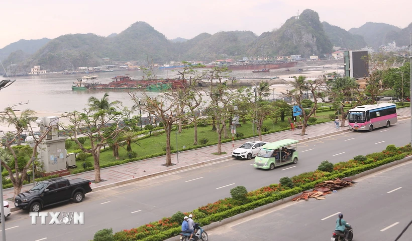 Tuyến đường trung tâm trên đảo Cát Bà, huyện Cát Hải, đã cơ bản phục hồi sau bão Yagi. (Ảnh: Minh Thu/TTXVN)