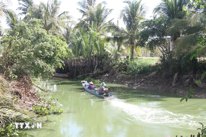 Một dòng sông cạn nước ở xã Vĩnh Quới A, huyện Hồng Dân, tỉnh Bạc Liêu. (Ảnh: Chanh Đa/TTXVN)