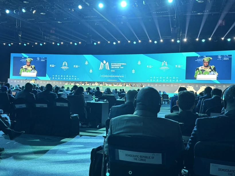 Phiên khai mạc Hội nghị lần thứ 13 của WTO tại UAE. (Ảnh: PV/Vietnam+)