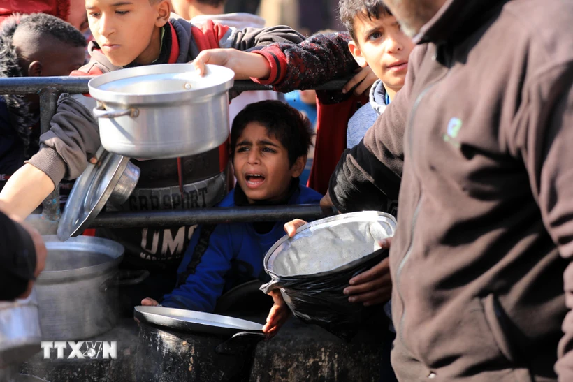 Các em nhỏ chờ được phát thực phẩm cứu trợ tại Rafah, Dải Gaza ngày 14/2/2024. (Ảnh: THX/TTXVN)