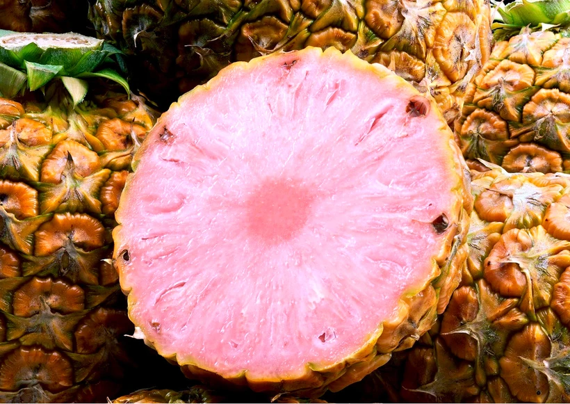 Dứa Pinkglow. (Nguồn: Pinkglow Pineapple)