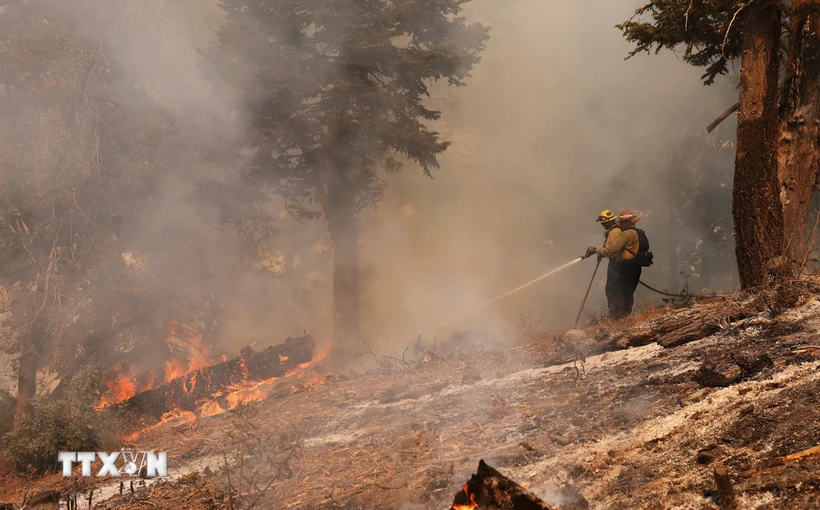 Lính cứu hỏa dập đám cháy rừng tại California, Mỹ ngày 13/9/2024. (Ảnh: THX/TTXVN)